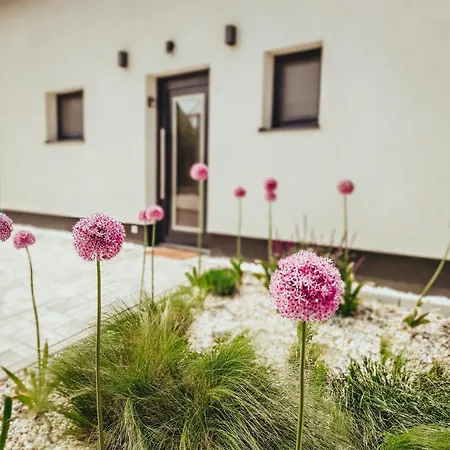 Tatil Evi Palavsky Dum